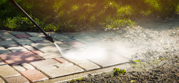 Best Soft Washing for Delicate Surfaces in East Bangor, PA